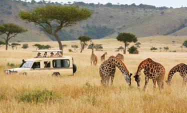 4 Days Luxury Safari Trip In Tanzania