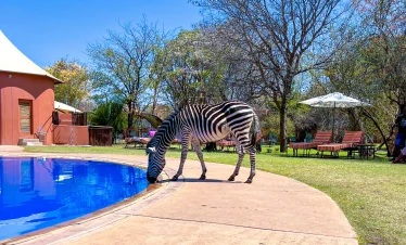 Livingstone – Zambia